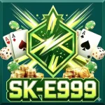 sk-e999